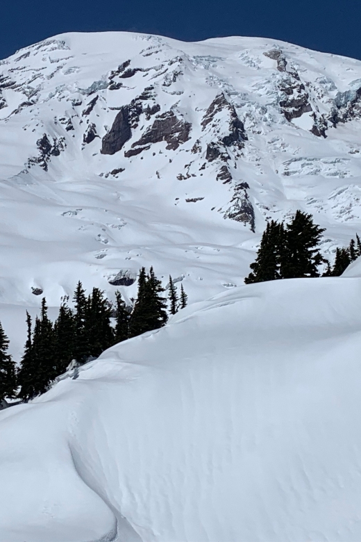 Seattle: Mt. Rainier Park Guided Full-Day Tour - Viewpoints and photo stops