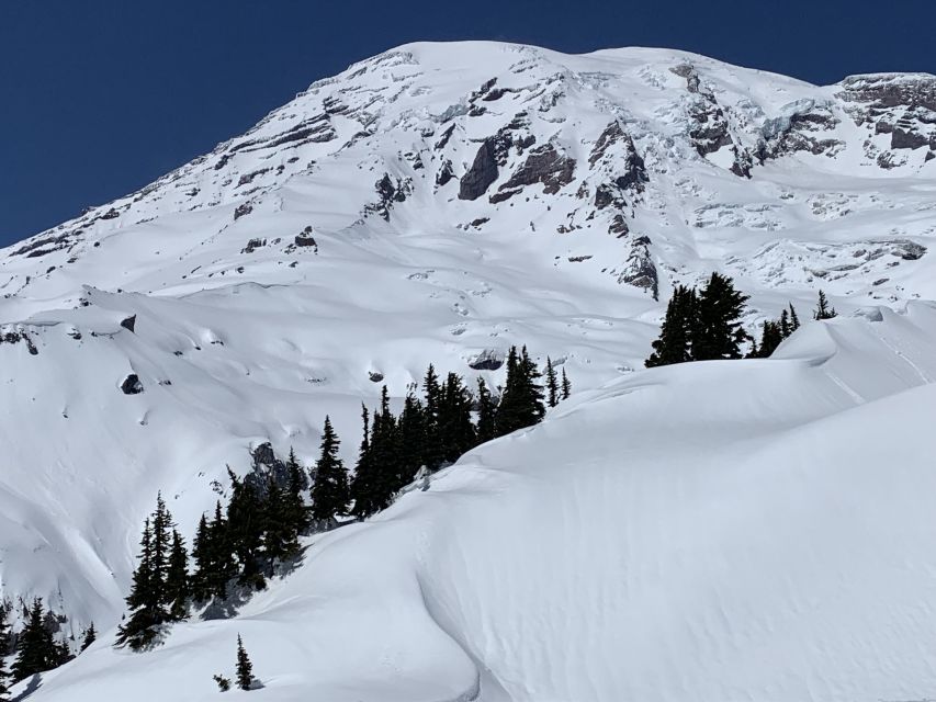 Seattle: Mt. Rainier Park Guided Full-Day Tour - Meeting in downtown Seattle at 415 Pine Street