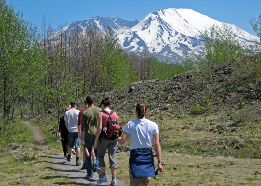 Seattle: Mt. St. Helens National Monument Small Group Tour - Key points to know before booking