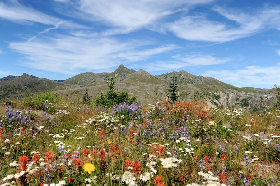 Seattle: Mt. St. Helens National Monument Small Group Tour - Is $326 a fair price?