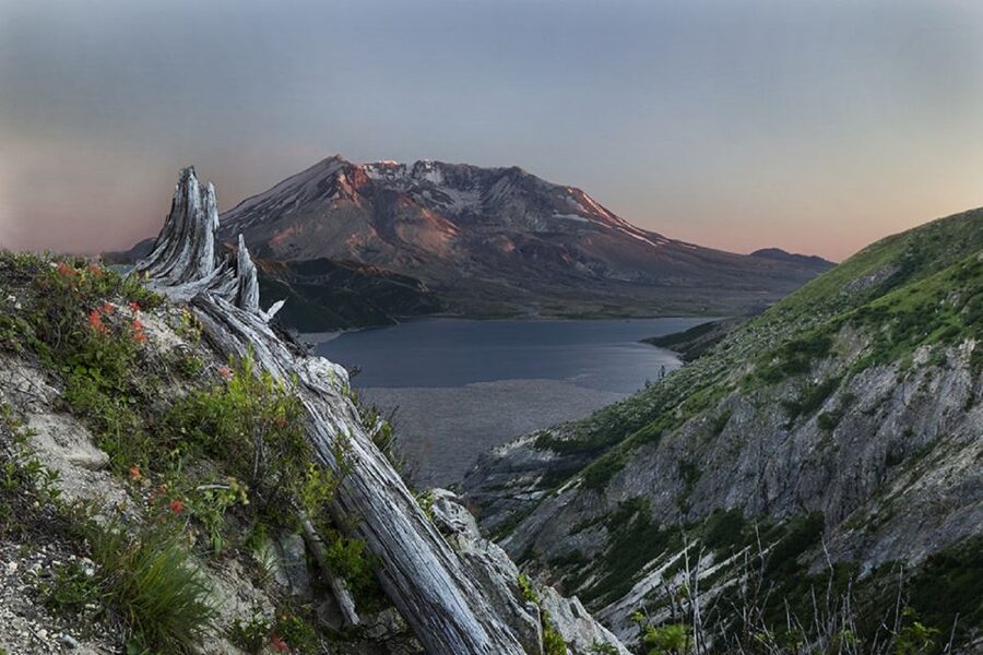 Seattle: Mt. St. Helens National Monument Small Group Tour - The interpretive center puts the eruption in context