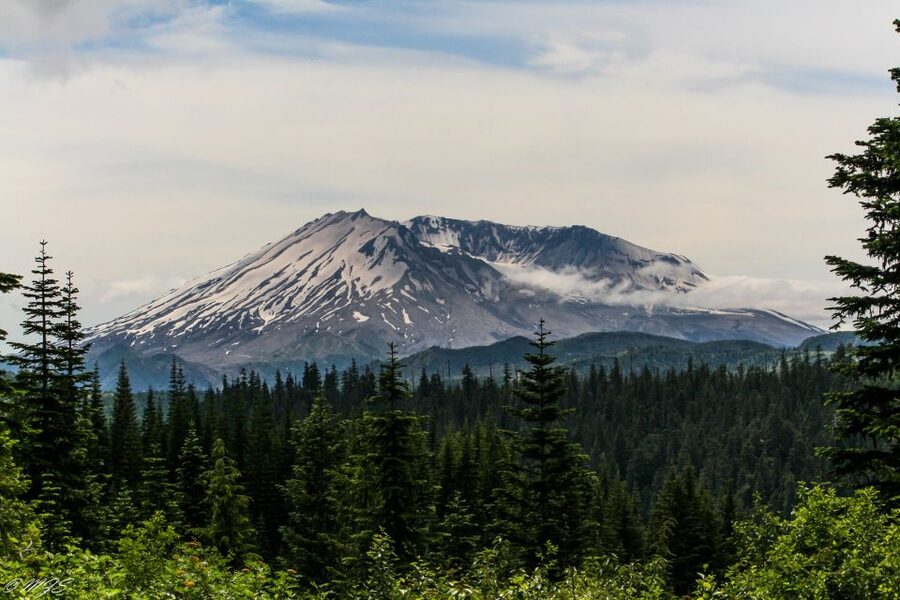 Seattle: Mt. St. Helens National Monument Small Group Tour - Coldwater Lake and the replacement for Johnston Ridge