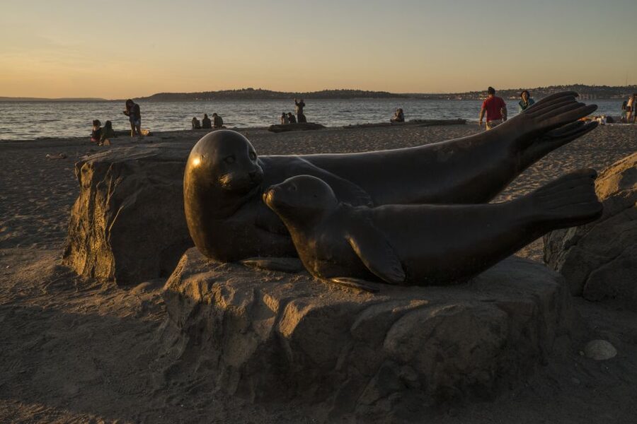 Seattle: Night Tour with Local Guide - Key points to know before booking