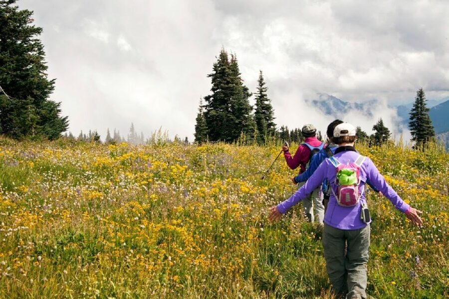 Seattle: Olympic National Park Small-Group Tour - The $320 question: is it good value?