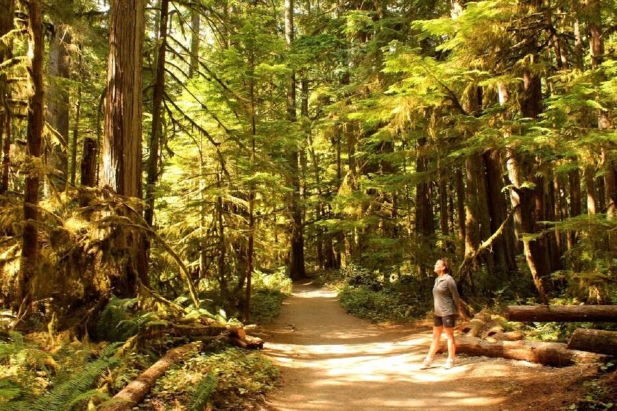Seattle: Olympic National Park Small-Group Tour - Why Olympic National Park works as a one-day outing