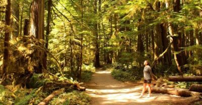 Olympic National Park Small-Group Tour