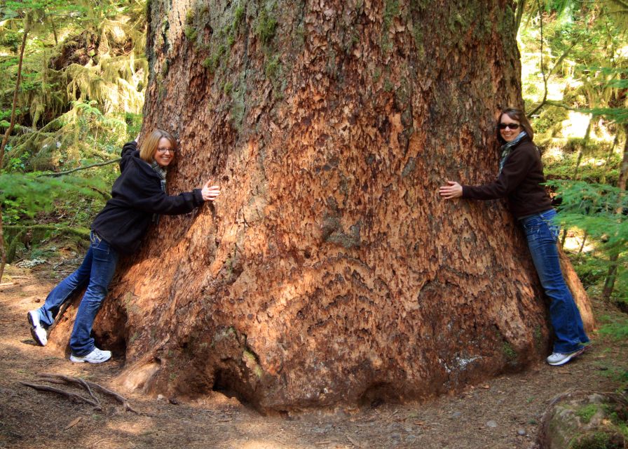 Seattle: Olympic National Park Small-Group Tour - Hurricane Ridge and the Olympic mountains