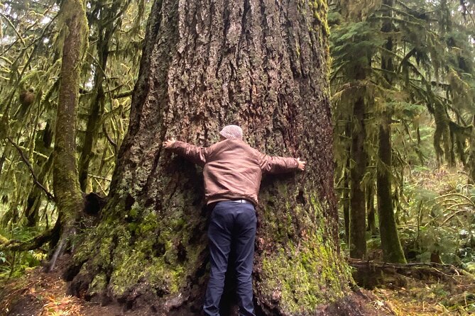 Seattle: Rainforest, Beach, and Olympic National Park Highlights - Why this Seattle day trip is different