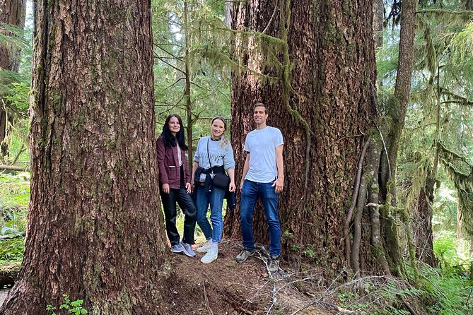 Seattle: Rainforest, Beach, and Olympic National Park Highlights - Ruby Beach and the Pacific coast