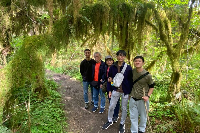 Seattle: Rainforest, Beach, and Olympic National Park Highlights - Lunch in Forks, with practical expectations