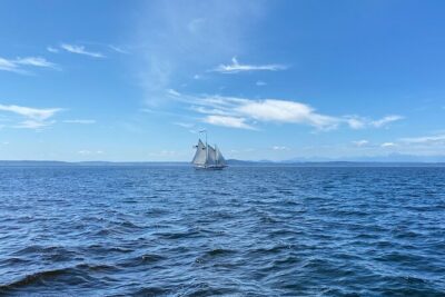 Seattle Sailing Harbor Tour
