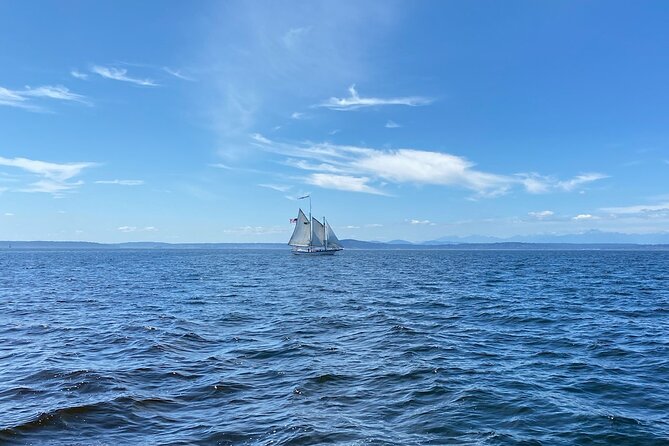 Seattle Sailing Harbor Tour - What the two-hour sailing actually includes