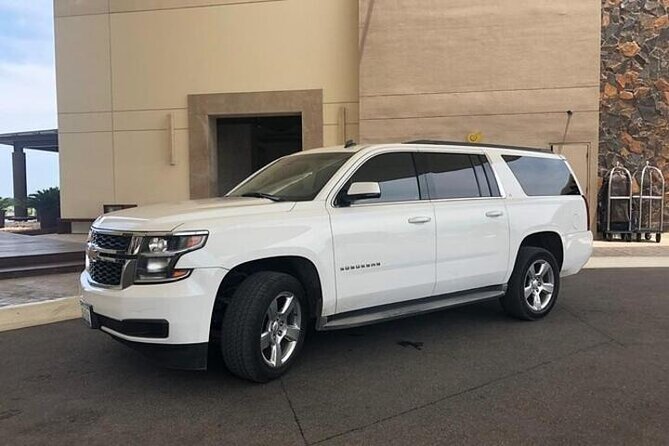 Seattle SEA Airport to Downtown|Pier 91|Bellevue Private Transfer - How reliable is the communication?