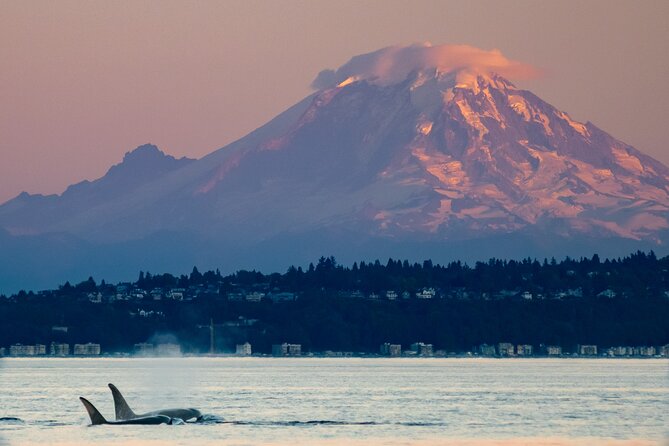 Seattle Sunset Sail BYOB - Looking back at the Space Needle