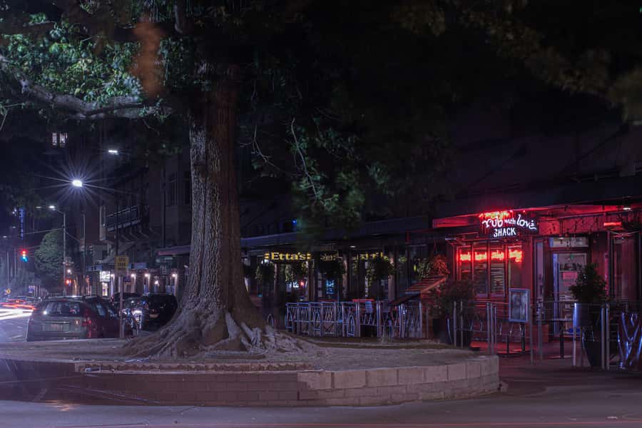 Seattle: Terrors and Ghosts Guided Walking Tour - Rain, hills, and practical comfort