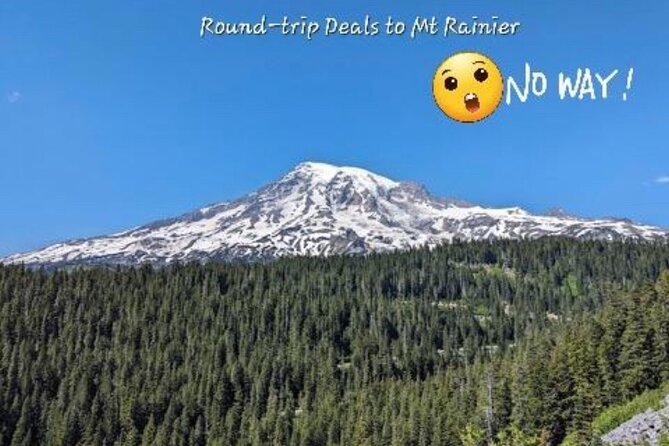 Seattle, WA Hourly Rental Around Town & Sightseeing - Meeting points, booking, and weather rules