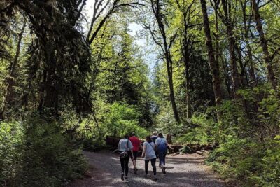 Seattle Wine and Waterfall Luxury Small-Group Day Tour with Lunch