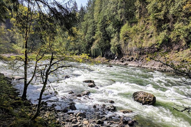 Seattle Wine and Waterfall Luxury Small-Group Day Tour with Lunch - Who should book this tour
