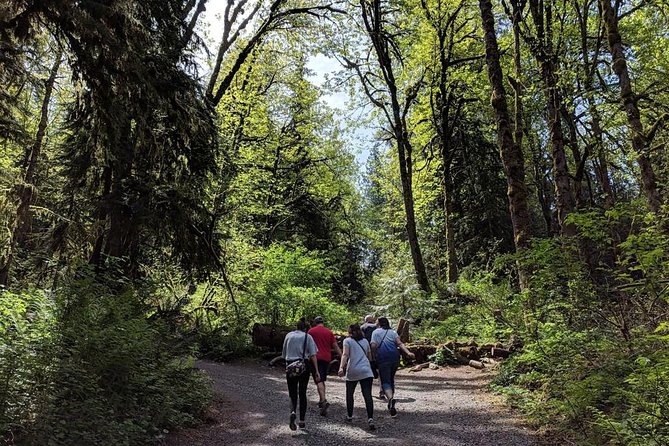 Seattle Wine and Waterfall Luxury Small-Group Day Tour with Lunch - Snoqualmie Falls is the morning centerpiece