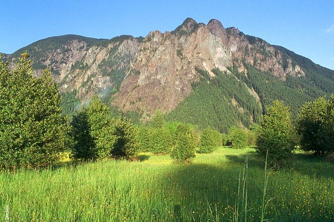 Seattle Wine & Snoqualmie Falls Highlights Tour - What the guides add to a long day