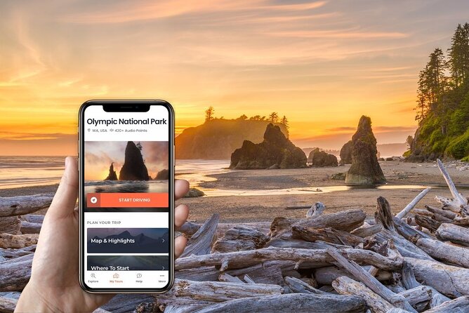 Self-Guided Audio Driving Tour in Olympic National Park - Port Angeles, Hurricane Ridge, and the park’s high country