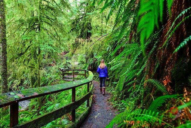 Self-Guided Audio Driving Tour in Olympic National Park - Lake Quinault and the Quinault Rain Forest