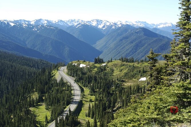 Self-Guided Audio Driving Tour in Olympic National Park - Ruby Beach and the tide-dependent Abbey Island