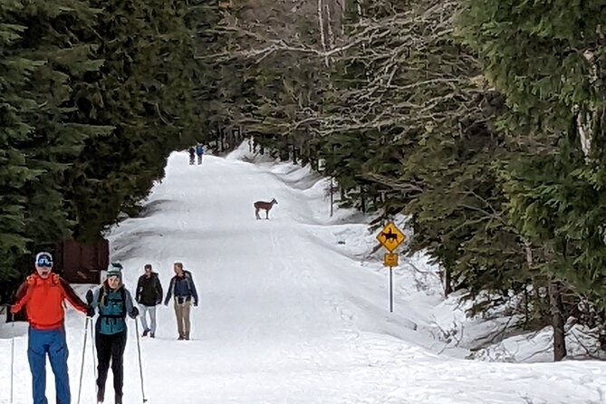 Shuttle to Snoqualmie Pass Ski and Snowboard - What the small group adds to the ride