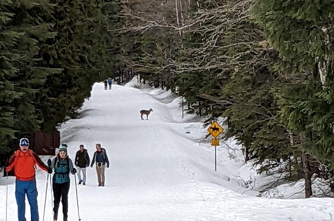 Shuttle to Snoqualmie Pass Ski and Snowboard - Comparing the $150 price with other options