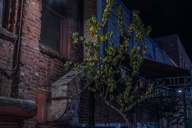 Sinister Sins, Scandal, and Shadows: Seattle Ghost Tour - The guide can make or break the evening