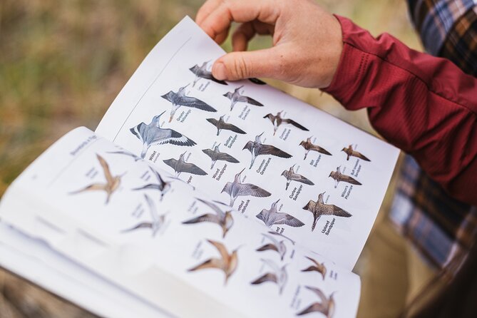 Skagit Valley Birding + Deception Pass Day Tour From Seattle - Key points to know before booking