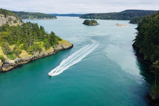 Skagit Valley Birding + Deception Pass Day Tour From Seattle - Skagit Wildlife Area and the winter bird season