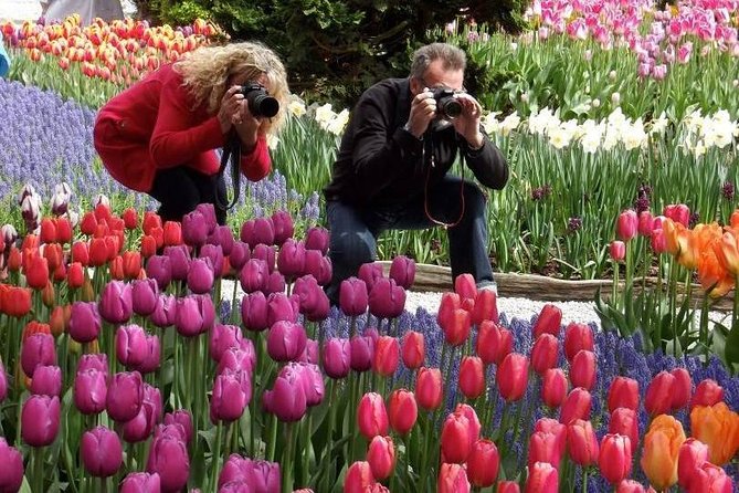 Skagit Valley Tulip Festival Day Tour from Seattle - Why the Skagit Valley tulips make a worthwhile day trip
