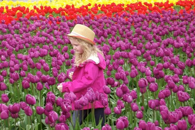 Skagit Valley Tulip Festival Day Tour from Seattle - La Conner: lunch, shops, and a slower hour