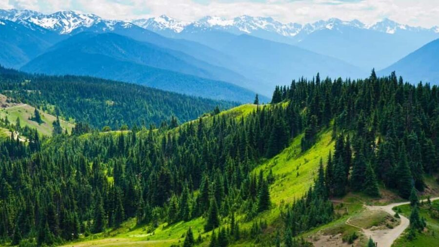 Small Group: Olympic National Park Day Tour From Seattle - Why this Seattle day trip works
