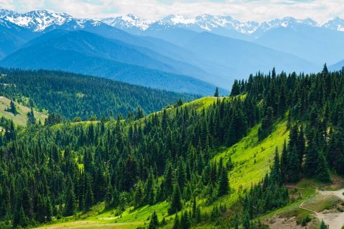 Small Group Olympic National Park Day Tour from Seattle 2CanGo - Key points to know before booking