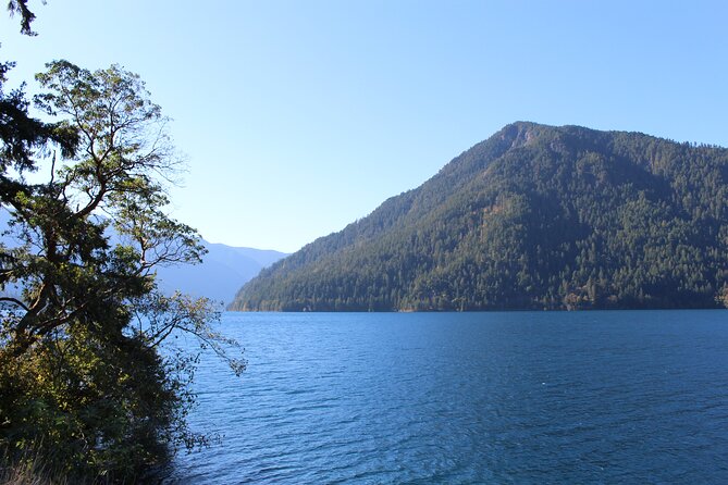 Small Group Olympic National Park Day Tour from Seattle 2CanGo - The guide makes a real difference