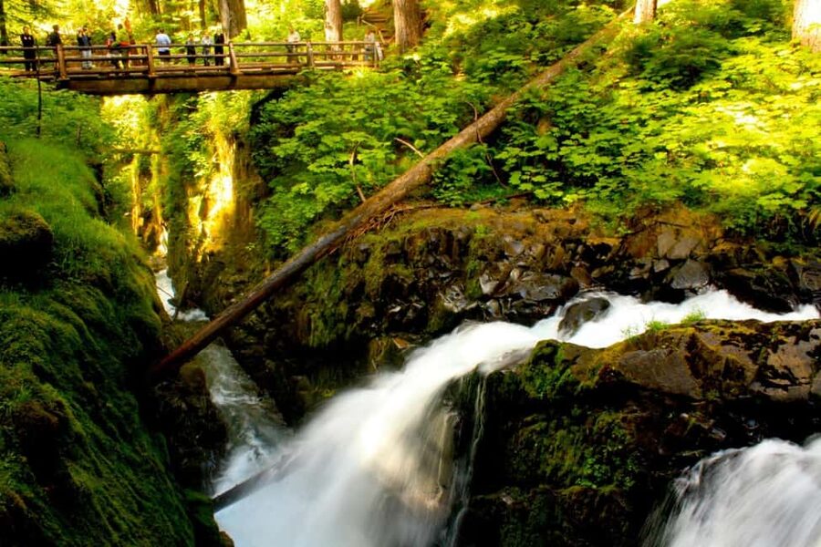 Small Group: Olympic National Park Day Tour From Seattle - Hurricane Ridge and the high-country views