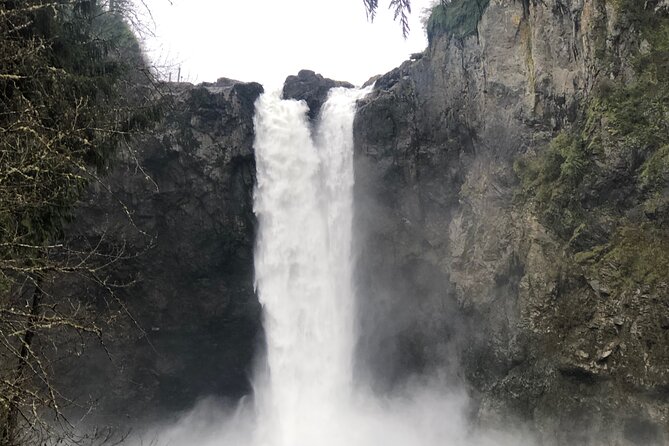 Snoqualmie falls and Twin Falls Hike - Key points to know before booking