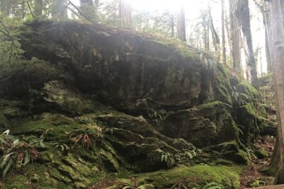 Snoqualmie falls and Twin Falls Hike