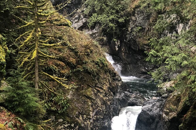 Snoqualmie falls and Twin Falls Hike - Practical details that affect the day