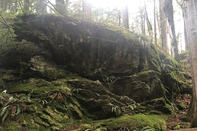 Snoqualmie falls and Twin Falls Hike - Twin Falls and the ancient rainforest