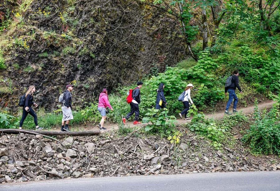 Snoqualmie, Twin Falls & Ancient Forest (Transport Included) - Ollalie State Park and the old-growth forest