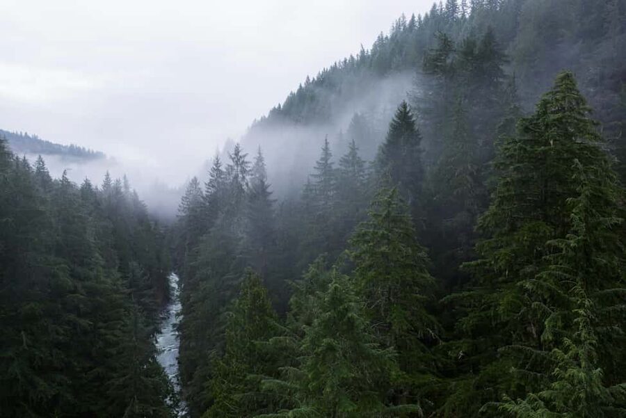Snoqualmie, Twin Falls & Ancient Forest (Transport Included) - Who should book this morning tour