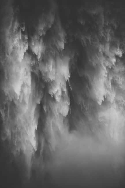 Snoqualmie, Twin Falls & Ancient Forest (Transport Included) - Meeting at Zeitgeist Coffee in Pioneer Square