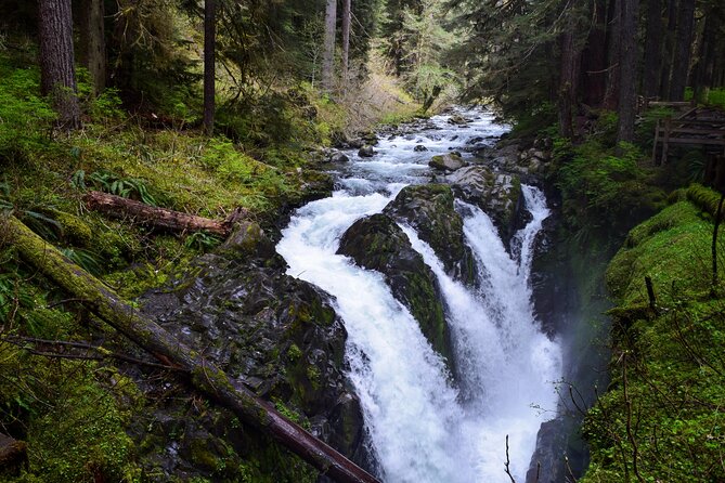 Sol Duc, Lake Crescent, and Hurricane Ridge Guided Tour in Olympic National Park - Sol Duc Falls: the best walking portion of the morning