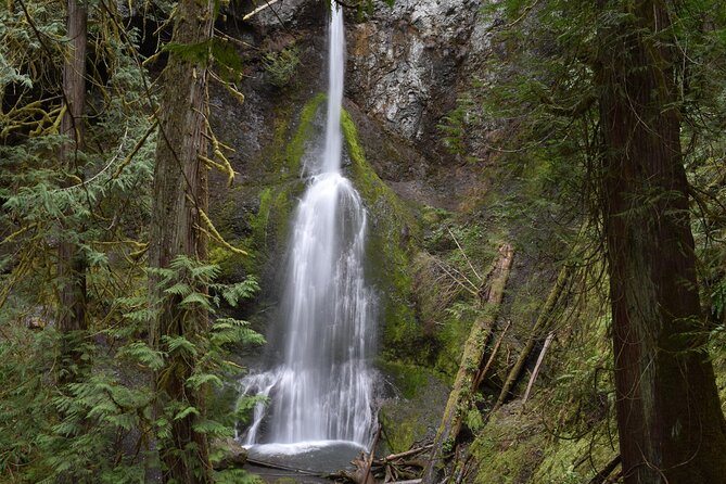 Sol Duc, Lake Crescent, and Hurricane Ridge Guided Tour in Olympic National Park - Hurricane Ridge at 5,242 feet
