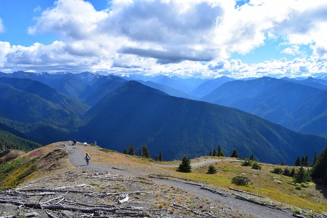 Sol Duc, Lake Crescent, and Hurricane Ridge Guided Tour in Olympic National Park - Why the guide can be worth the $195 price