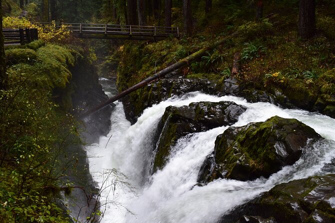 Sol Duc, Lake Crescent, and Hurricane Ridge Guided Tour in Olympic National Park - Who will enjoy this day most