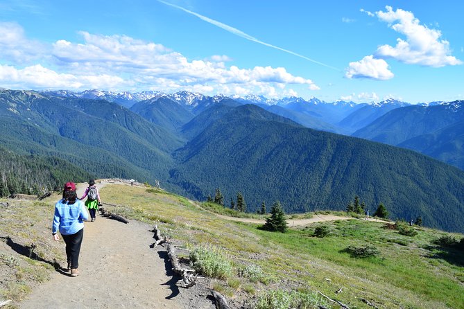 Sol Duc, Lake Crescent, and Hurricane Ridge Guided Tour in Olympic National Park - Lake Crescent: a calm half-hour by the water